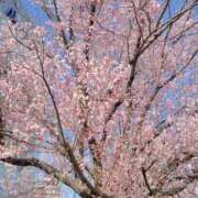 ヒメ日記 2026/03/27 19:51 投稿 みくる 即アポ奥さん〜名古屋店〜