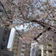 ヒメ日記 2026/03/30 20:31 投稿 みくる 即アポ奥さん〜名古屋店〜