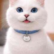 みくる ＊すみません(;_;)＊ 即アポ奥さん〜名古屋店〜