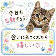 みくる *今日から出勤* 即アポ奥さん〜名古屋店〜