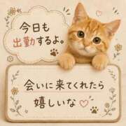 みくる *出勤しました* 即アポ奥さん〜名古屋店〜