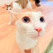 ヒメ日記 2026/10/08 11:21 投稿 みくる 即アポ奥さん〜名古屋店〜