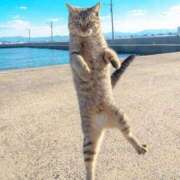 ヒメ日記 2026/02/22 08:02 投稿 花園（はなぞの） 熟女の風俗最終章 名古屋店