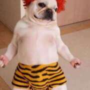 ヒメ日記 2026/02/23 10:12 投稿 花園（はなぞの） 熟女の風俗最終章 名古屋店