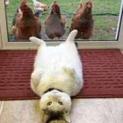 ヒメ日記 2026/02/24 11:12 投稿 花園（はなぞの） 熟女の風俗最終章 名古屋店