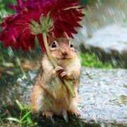 ヒメ日記 2026/02/25 09:12 投稿 花園（はなぞの） 熟女の風俗最終章 名古屋店