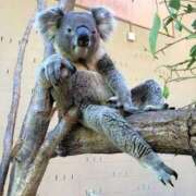 花園（はなぞの） なんですとー!! 熟女の風俗最終章 名古屋店