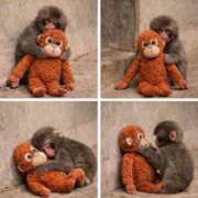 ヒメ日記 2026/02/27 09:12 投稿 花園（はなぞの） 熟女の風俗最終章 名古屋店