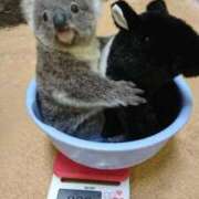 ヒメ日記 2026/02/28 08:02 投稿 花園（はなぞの） 熟女の風俗最終章 名古屋店