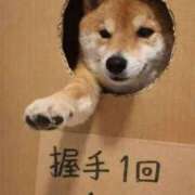 ヒメ日記 2026/03/01 08:42 投稿 花園（はなぞの） 熟女の風俗最終章 名古屋店