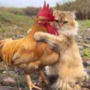 ヒメ日記 2026/03/02 08:52 投稿 花園（はなぞの） 熟女の風俗最終章 名古屋店