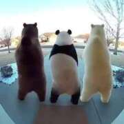 ヒメ日記 2026/03/11 16:05 投稿 花園（はなぞの） 熟女の風俗最終章 名古屋店