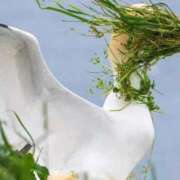 ヒメ日記 2026/03/16 10:13 投稿 花園（はなぞの） 熟女の風俗最終章 名古屋店