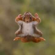 ヒメ日記 2026/03/19 08:38 投稿 花園（はなぞの） 熟女の風俗最終章 名古屋店