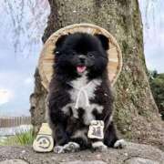 ヒメ日記 2026/04/05 14:52 投稿 花園（はなぞの） 熟女の風俗最終章 名古屋店