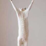 ヒメ日記 2026/04/14 09:00 投稿 花園（はなぞの） 熟女の風俗最終章 名古屋店