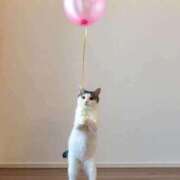 ヒメ日記 2026/04/15 19:12 投稿 花園（はなぞの） 熟女の風俗最終章 名古屋店