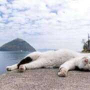 ヒメ日記 2026/04/16 07:32 投稿 花園（はなぞの） 熟女の風俗最終章 名古屋店