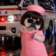 ヒメ日記 2026/04/19 20:22 投稿 花園（はなぞの） 熟女の風俗最終章 名古屋店