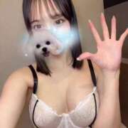 ヒメ日記 2026/02/23 14:14 投稿 鏡あいさ ブルーバード