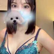 鏡あいさ 次回23:00から🈳 ブルーバード