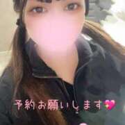 ひな いるよ〜 E+アイドルスクール品川店