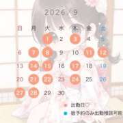 ヒメ日記 2026/08/19 11:58 投稿 さつき 聖女(マリア)