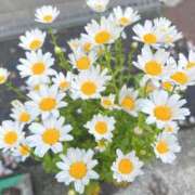 ヒメ日記 2026/04/16 10:03 投稿 ゆあ 新宿本店 ぽちゃカワ女子専門店