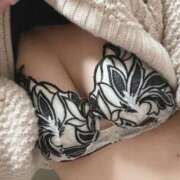 ヒメ日記 2026/02/23 07:15 投稿 なつ 奈良橿原大和高田ちゃんこ