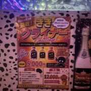 ヒメ日記 2026/07/17 17:15 投稿 みる ビアガーデンカーニバル