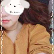 ヒメ日記 2026/03/04 21:15 投稿 かりん 茨城神栖ちゃんこ