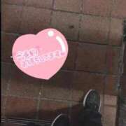 ヒメ日記 2026/03/17 06:45 投稿 かりん 茨城神栖ちゃんこ