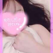 ヒメ日記 2026/04/23 18:00 投稿 かりん 茨城神栖ちゃんこ
