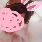 ヒメ日記 2026/05/20 12:15 投稿 かりん 茨城神栖ちゃんこ