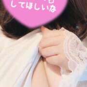 ヒメ日記 2026/05/27 07:01 投稿 かりん 茨城神栖ちゃんこ