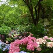 ヒメ日記 2026/03/24 12:00 投稿 さとみ 清楚