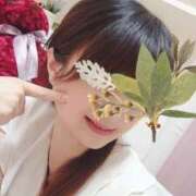 ヒメ日記 2026/04/15 13:33 投稿 さとみ 清楚