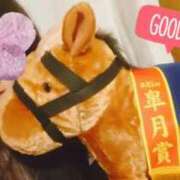 ヒメ日記 2026/04/19 00:51 投稿 さとみ 清楚