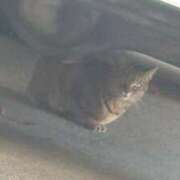 ヒメ日記 2026/04/19 17:24 投稿 さとみ 清楚