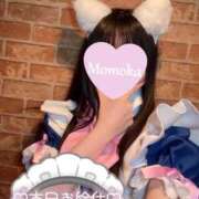 木村ももか きむらじほ〜！本日お給仕🎀 メイドin横浜（横浜ハレ系）