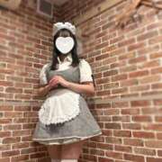 ヒメ日記 2026/03/25 08:15 投稿 渡会　らい メイドin横浜（横浜ハレ系）