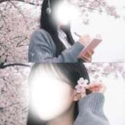 ヒメ日記 2026/03/28 09:32 投稿 ゆうか　心を癒す清楚系美女 ROYAL FACE