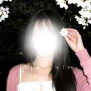 ヒメ日記 2026/04/07 14:22 投稿 ゆうか　心を癒す清楚系美女 ROYAL FACE