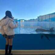 ヒメ日記 2026/03/10 19:02 投稿 かなで ジャパンクラブ富士