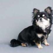 ヒメ日記 2026/03/25 17:08 投稿 まひろ 素人妻達☆マイふぇらレディー