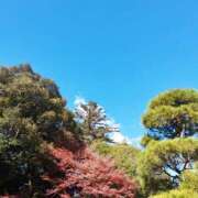 ヒメ日記 2026/03/09 21:52 投稿 みやび 美熟女倶楽部Hip's 春日部店