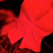 ヒメ日記 2026/03/13 18:22 投稿 あまね 神田はっち