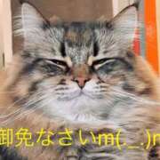 ヒメ日記 2026/03/21 11:45 投稿 ひろき 待ちナビ