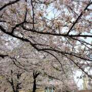 ヒメ日記 2026/04/06 16:15 投稿 ひろき 待ちナビ