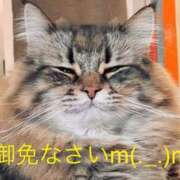 ヒメ日記 2026/05/24 14:24 投稿 ひろき 待ちナビ